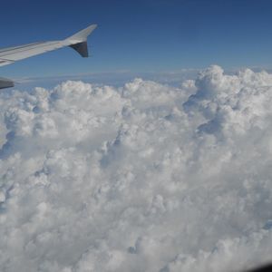 Meet your Posher, Smilodon